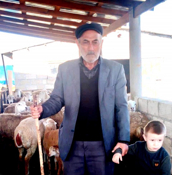 qerib-3