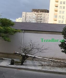 aqac duşdu aqac duşdu