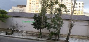 aqac duşdu aqac duşdu